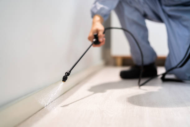 Licensed Mosquito Control service in Rendon, TX - Show Me Pest Control