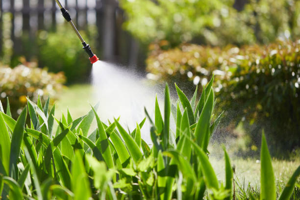 24/7 Emergency Mosquito Control experts in Rendon, TX