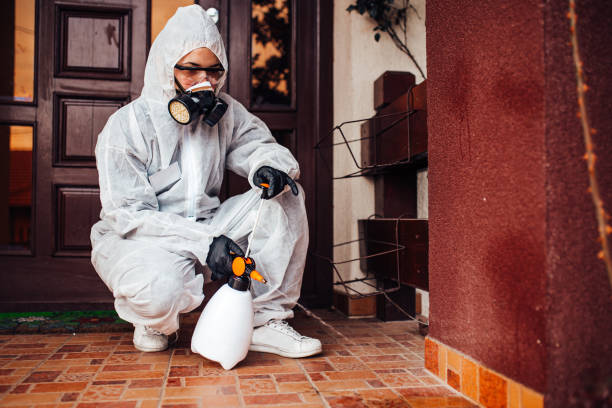 Reliable Mosquito Control contractor in Rendon, TX by Show Me Pest Control